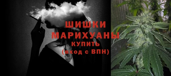 прущие грибы Белоозёрский
