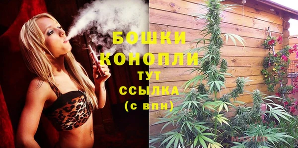 прущие грибы Белокуриха