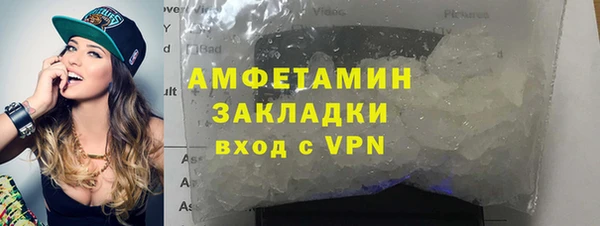 прущие грибы Белокуриха