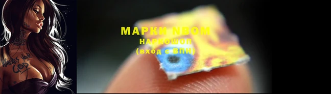 прущие грибы Белоозёрский