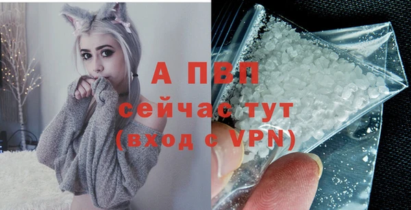 прущие грибы Белоозёрский