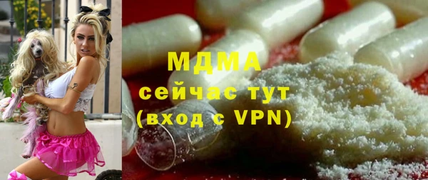 прущие грибы Белокуриха