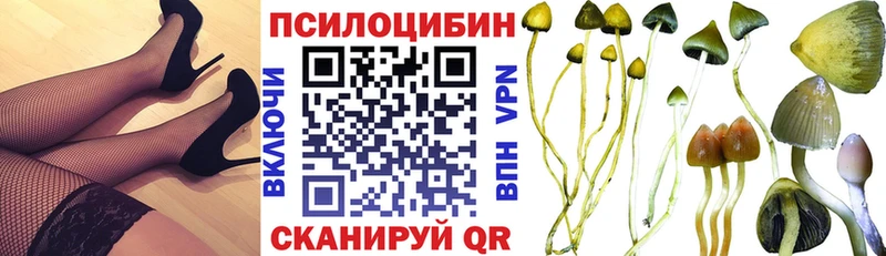 Галлюциногенные грибы Psilocybine cubensis  Макаров 